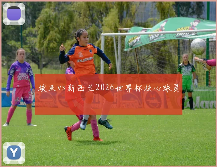 埃及vs新西兰2026世界杯核心球员