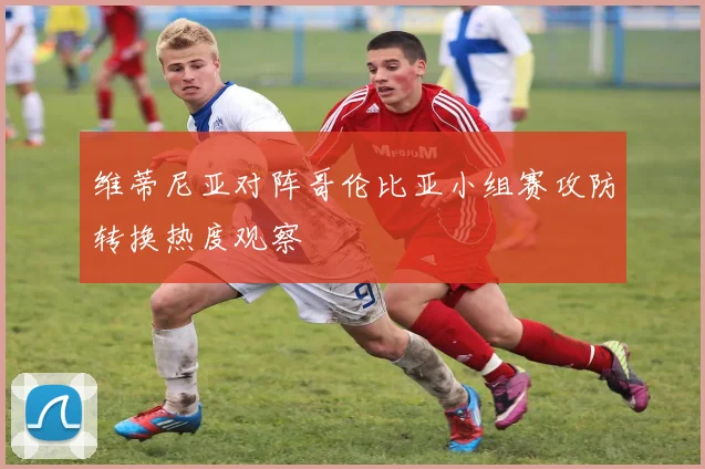 维蒂尼亚对阵哥伦比亚小组赛攻防转换热度观察
