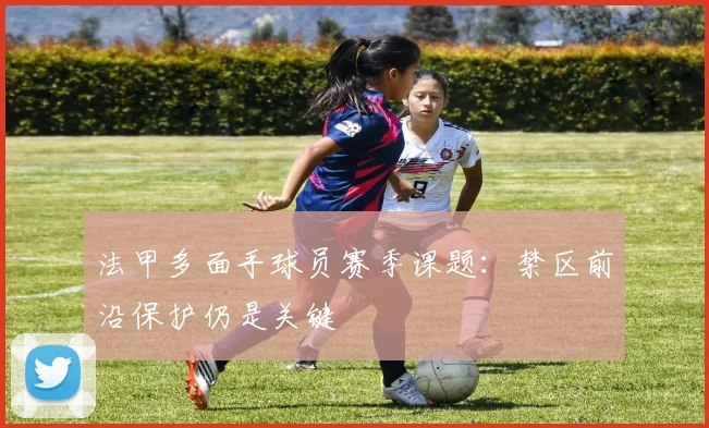 法甲多面手球员赛季课题：禁区前沿保护仍是关键