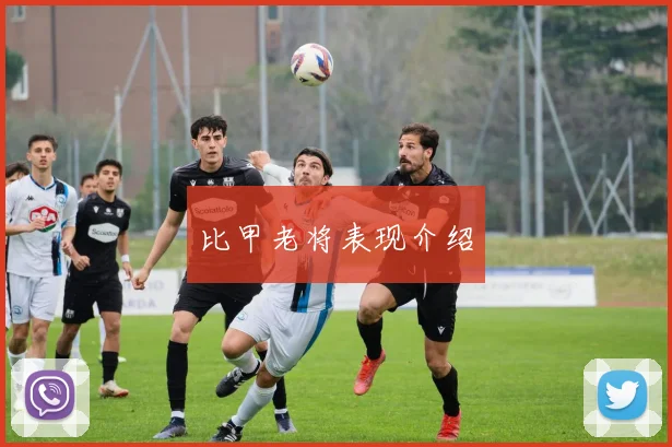 比甲老将表现介绍