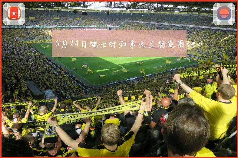 6月24日瑞士对加拿大主场氛围