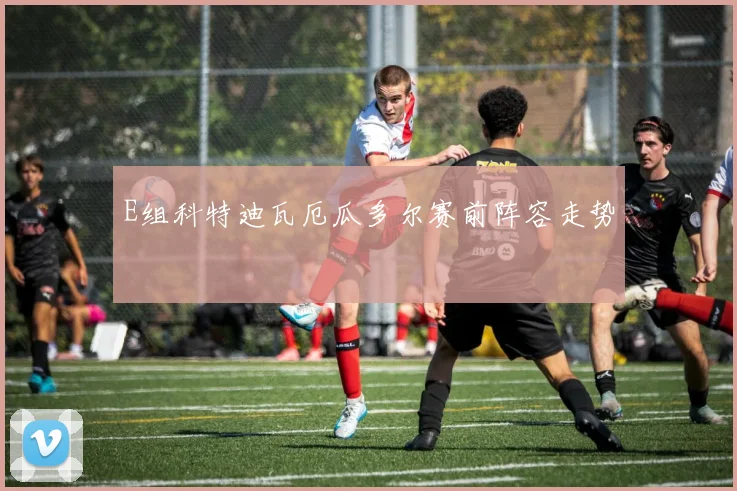 E组科特迪瓦厄瓜多尔赛前阵容走势