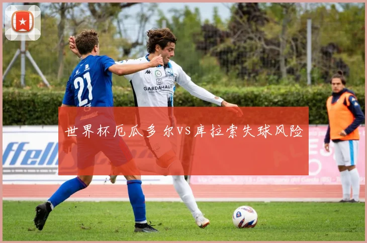 世界杯厄瓜多尔vs库拉索失球风险