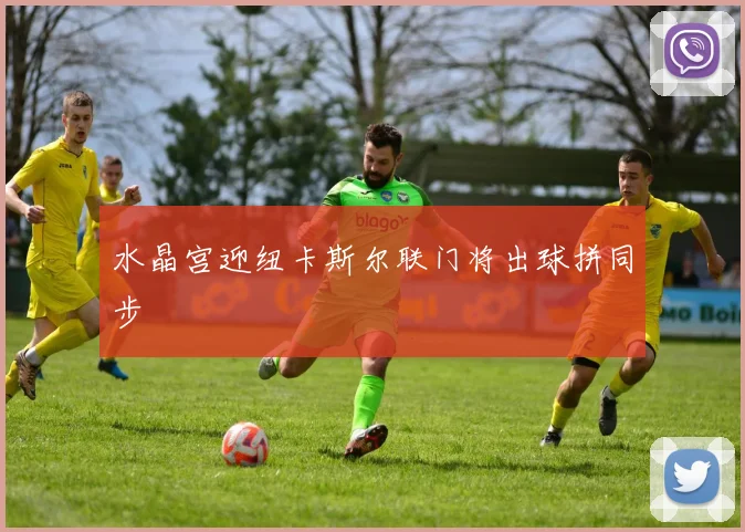 水晶宫迎纽卡斯尔联门将出球拼同步